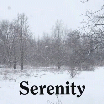 Mr Universe Serenity Gifs Tenor Mr Universe Serenity Gifs Tenor