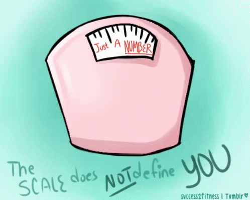 The Scale GIF - The Scale Does GIFs