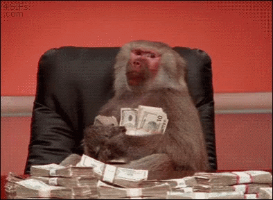 Monkey Money GIF - Monkey Money Cash - Discover & Share GIFs