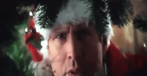 Image result for christmas vacation squirrel gif