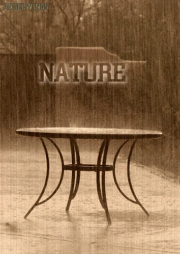Rain Nature GIF - Rain Nature GIF's