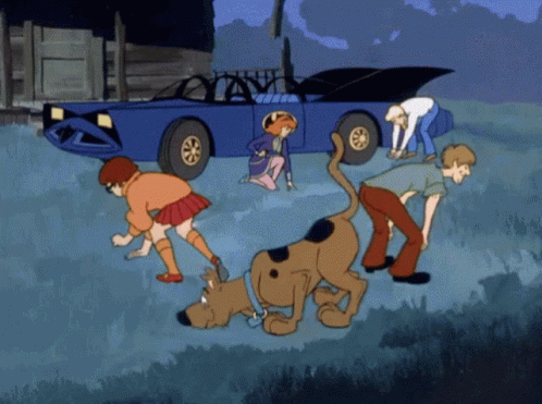 Image result for scooby doo investigate gif