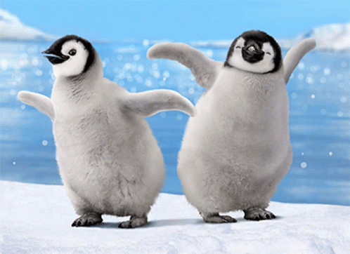 Penguins Bye Gif Penguins Bye Funnyanimals Discover S - vrogue.co