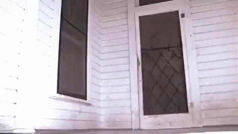 tenor.gif?itemid=8004562
