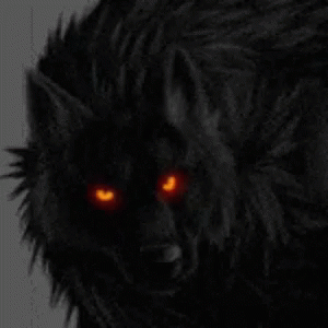 Wolf Red Eyes GIF - Wolf RedEyes Glow - Discover & Share GIFs