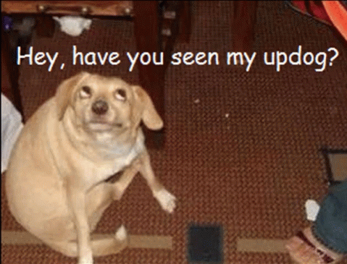 Updog Joke GIF - Updog Dog Joke - Discover & Share GIFs