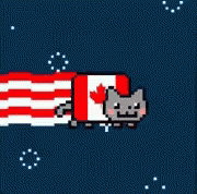 nyan cat gif nyancat canada discover share gifs