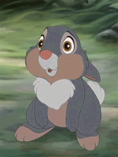 Thumper Gifs Tenor