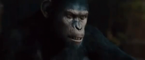 pics Planet Of The Apes Caesar Gif planet of the apes no gifs tenor