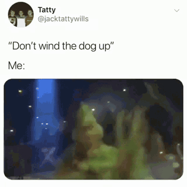 wind up the dog