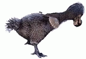 dodo reaper ark