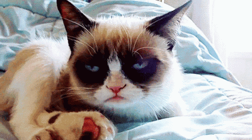 Eyeroll GIF - GrumpyCat Cat GIFs