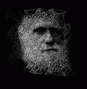 Resultado de imagen para GIF Darwin