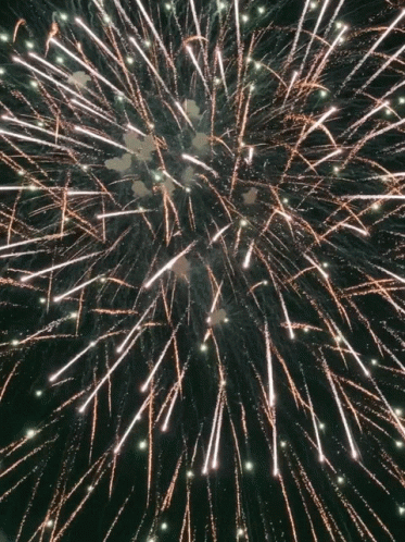 fireworks animations gif