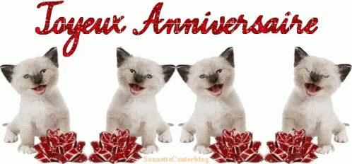 Kittens Joyeux GIF - Kittens Joyeux Anniversaire - Discover & Share GIFs