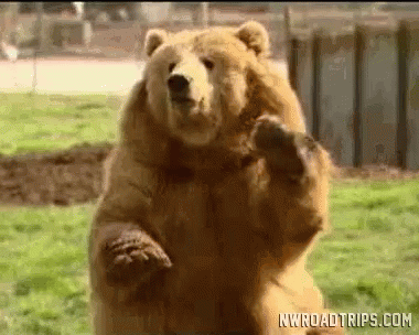 Bear Bye Bear GIF - Bear ByeBear Cute - Descubre & Comparte GIFs