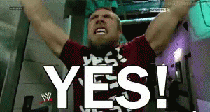 Image result for daniel bryan yes gif