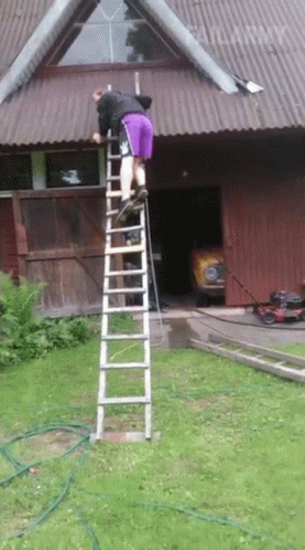 Rottmnt Ladder Gif