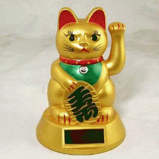  Chinese  Money  GIF Chinese Money Cat  Discover Share GIFs
