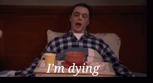 Image result for i'm dying sheldon gif