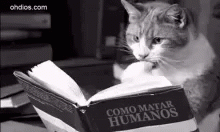 Studying GIF - Studying GIFs