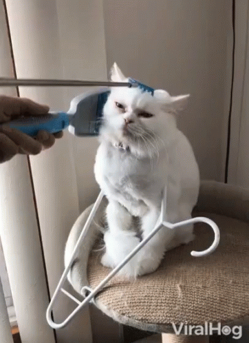 Brushing Hair GIF - Brushing Hair Comb - Discover & Share GIFs