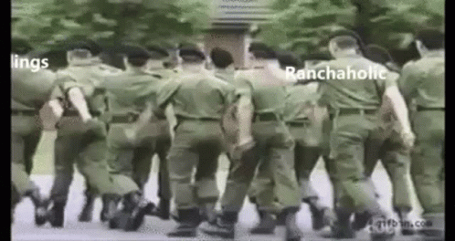 Ranchaholic Turnlings Gif Ranchaholic Turnlings Soldiers Discover Share Gifs