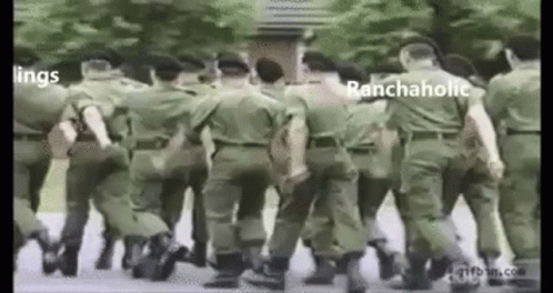 Ranchaholic Turnlings Gif Ranchaholic Turnlings Soldiers Discover Share Gifs Ranchaholic Turnlings Gif Ranchaholic Turnlings Soldiers Discover Share Gifs