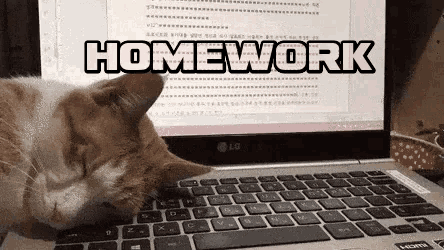 do your homework cat meme