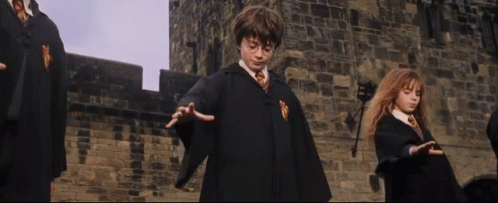 Broomstick Harry Potter GIF - Broomstick HarryPotter Up - Discover & Share  GIFs