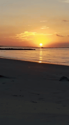Sunset GIF - Sunset - Discover & Share GIFs