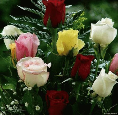 Roses Happy Valentines GIF - Roses HappyValentines Love ...