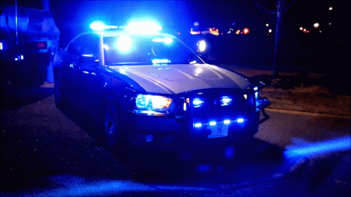 Georgia State Patrol Car GIF - GeorgiaStatePatrol Car Lights - Discover ...