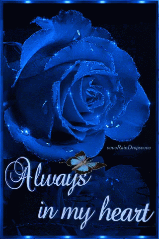 blue rose gifs tenor
