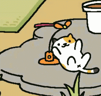 neko atsume cat gif