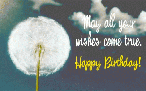 Happy Birthday May All Your Wishes Come True GIF - HappyBirthday ...