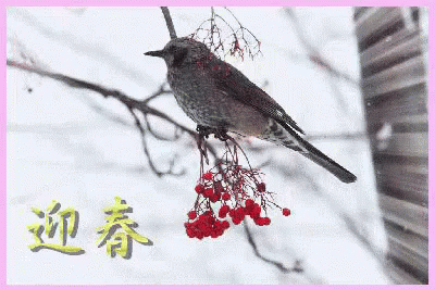 お正月 銀魂 お雑煮 Gif Jpnewyear Gintama Ozoni Discover Share Gifs お正月 銀魂 お雑煮 Gif Jpnewyear Gintama Ozoni Discover Share Gifs