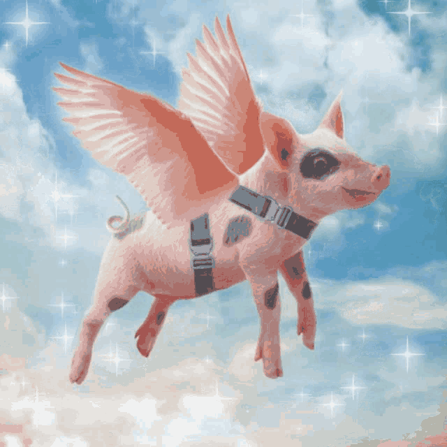 Pig Piggy Gif Pig Piggy Flying Discover Share Gifs - vrogue.co