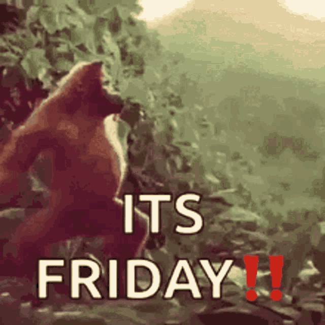 Its Friday Gorilla GIF ItsFriday Gorilla Monkey Discover & Share GIFs