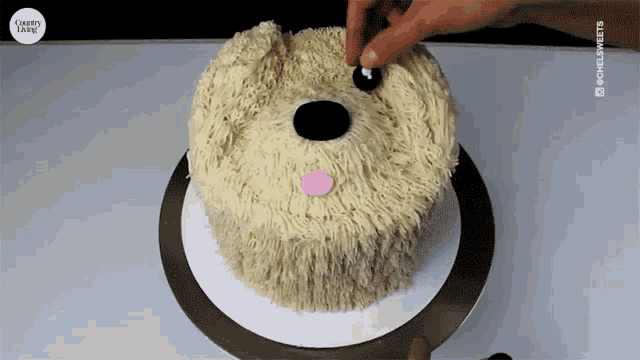 dog puppy cake
