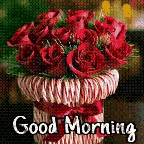 photo New Good Morning Gif Flowers good morning flowers gif goodmorning flowers goodday discover share gifs