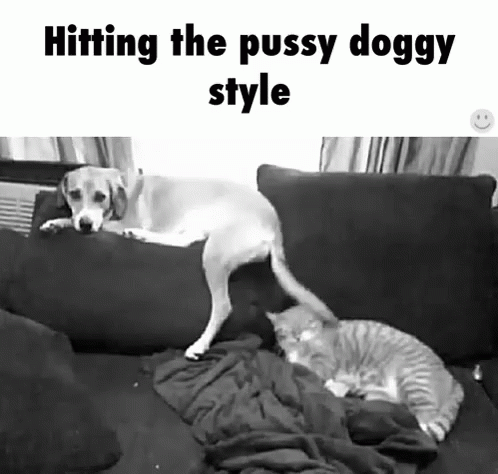 Doggystyle Teen Porn Doggystyle Teen Porn
