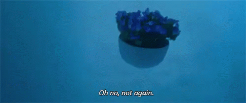 Oh No, Not Again - Again GIF - OhNoNotAgain FlowerPot  HitchhikersGuideToTheGalaxy - Discover & Share GIFs