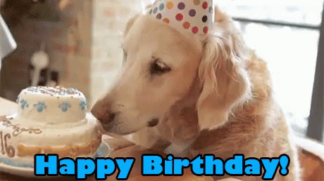 Birthday Dog GIF - HappyBirthday Dog Lick - Discover & Share GIFs