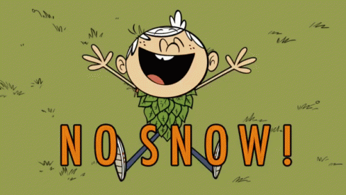 yay no snow gif