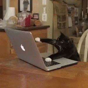 tenor gif keyboard not working samsung tenor gif keyboard not working samsung
