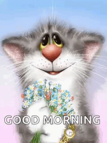 Good Morning Sparkles GIF - GoodMorning Sparkles Cat - Discover & Share