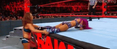 wheelbarrow position wheelbarrow position