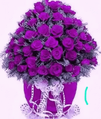 Love You Too Purple Roses Gif Loveyoutoo Purpleroses Discover Share Gifs Love You Too Purple Roses Gif Loveyoutoo Purpleroses Discover Share Gifs