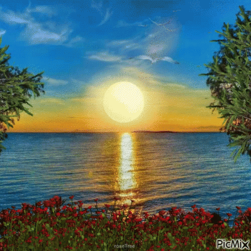 Coucher Soleil Gif Coucher Soleil Discover Share Gifs